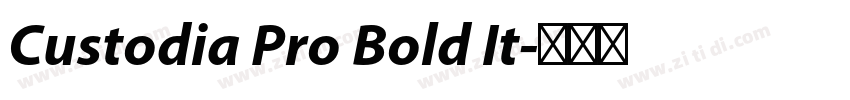 Custodia Pro Bold It字体转换
